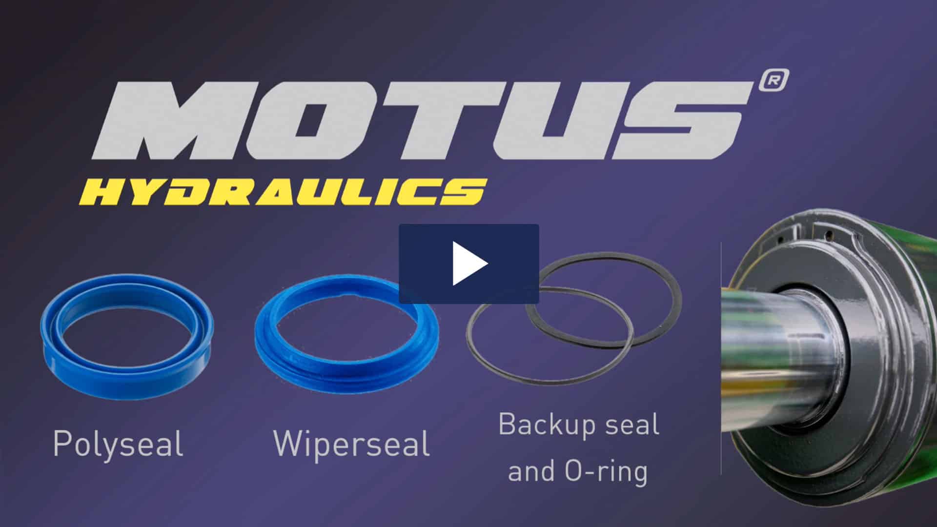 Wiperseal Polyseal Motus Hydraulics