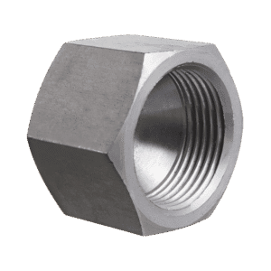 JIC Swivel Female Blanking Cap