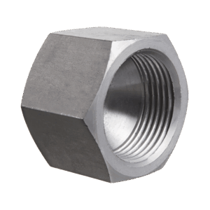JIC Swivel Female Blanking Cap