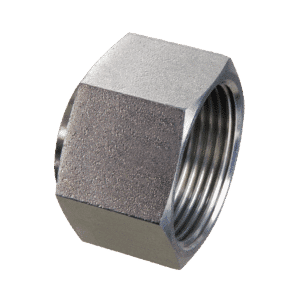 ORFS Swivel Female Blanking Cap