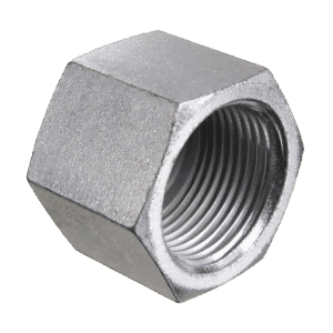 BSPP Fixed Female Blanking Cap