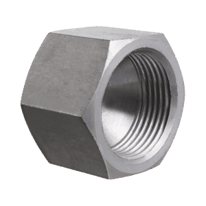 JIC Swivel Female Blanking Cap