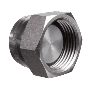 BSPP Swivel Female Blanking Cap