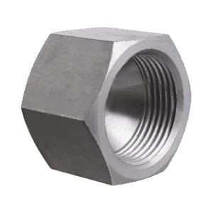 JIC Swivel Female Blanking Cap