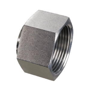 ORFS Swivel Female Blanking Cap