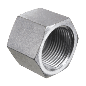 BSPP Fixed Female Blanking Cap